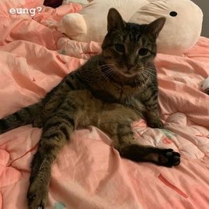 Meet your Posher, Ho